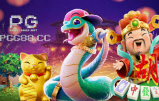 pg入口2024最新版